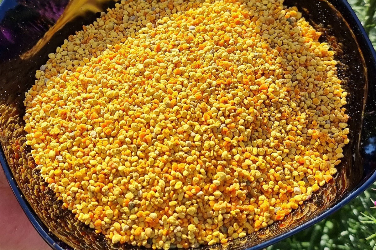 Bipollen i en skål