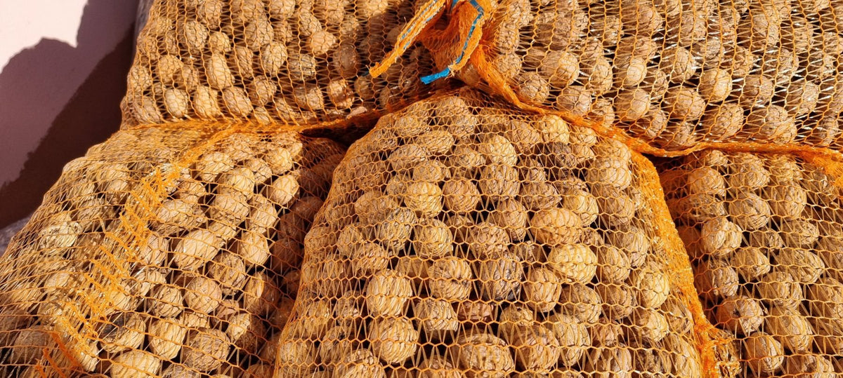 Walnuts in their shells in a net bag