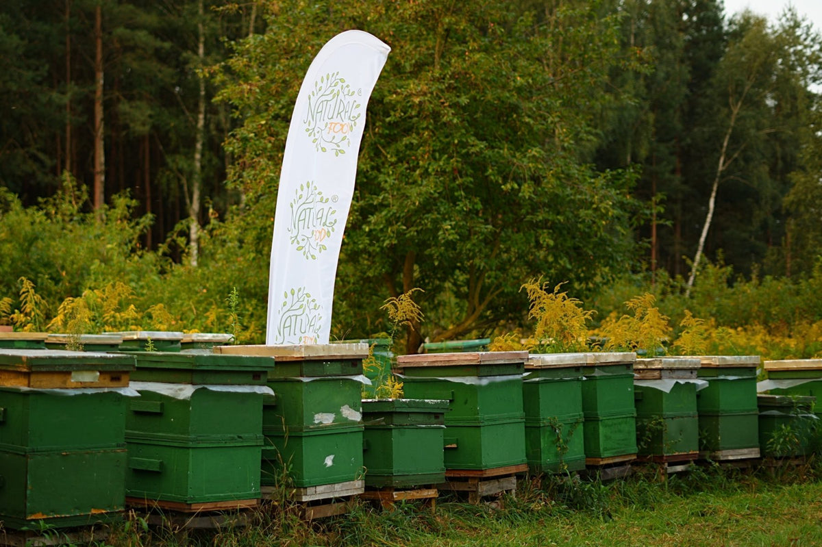 Beehives with a Natural-Food flag at the edge of the forest